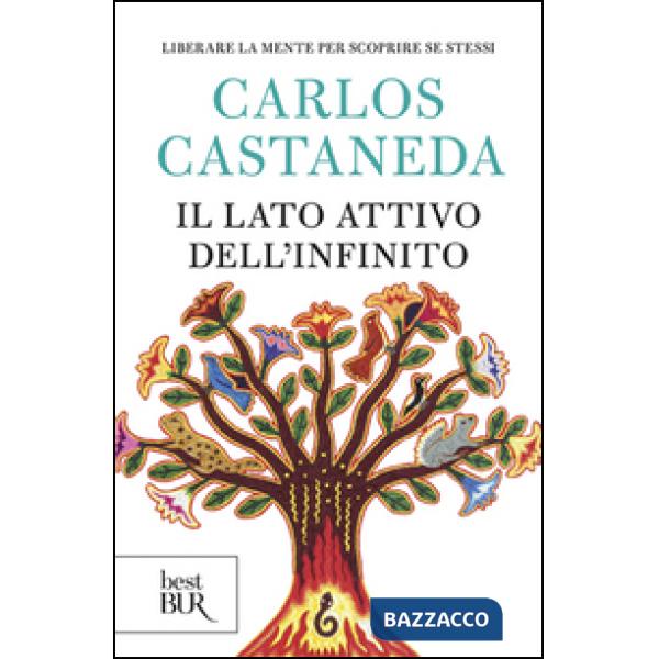 Lato attivo dell'infinito (Il)