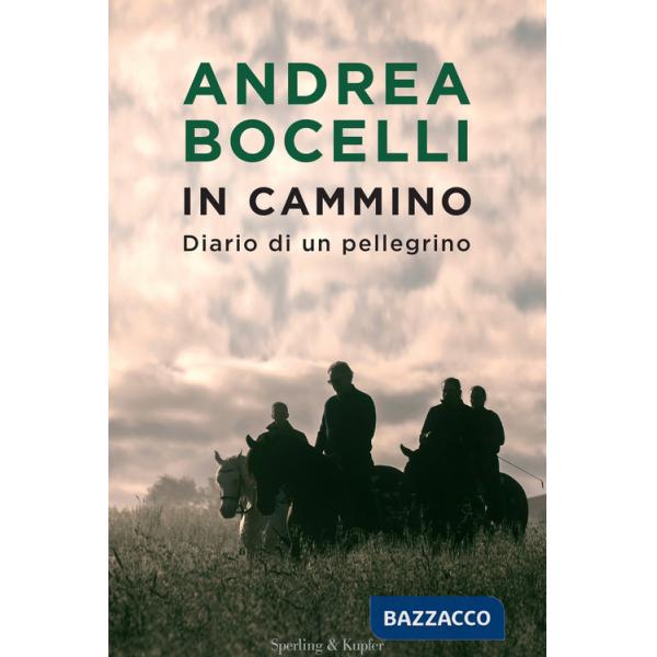 In cammino. Diario di un pellegrino