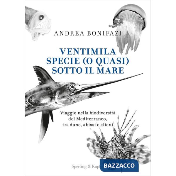 Ventimila specie (o quasi) sotto il mare. Viaggio nella biodiversità del Mediterraneo, tra dune, abissi e alieni