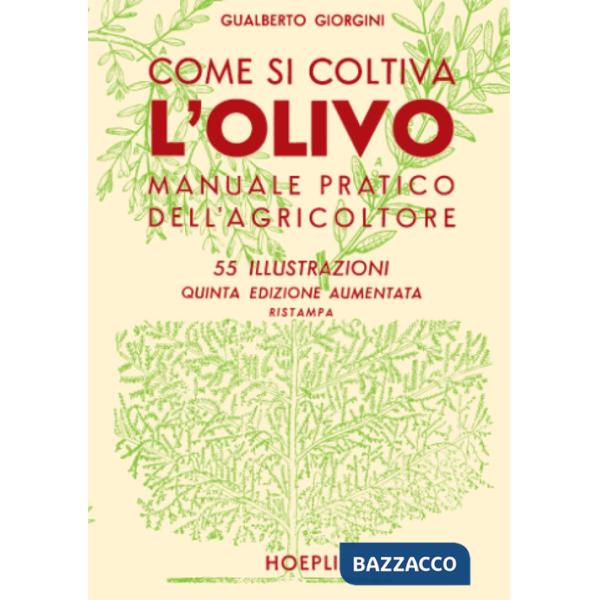 Come si coltiva l'olivo