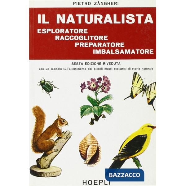 Naturalista esploratore, raccoglitore, preparatore, imbalsamatore (Il)