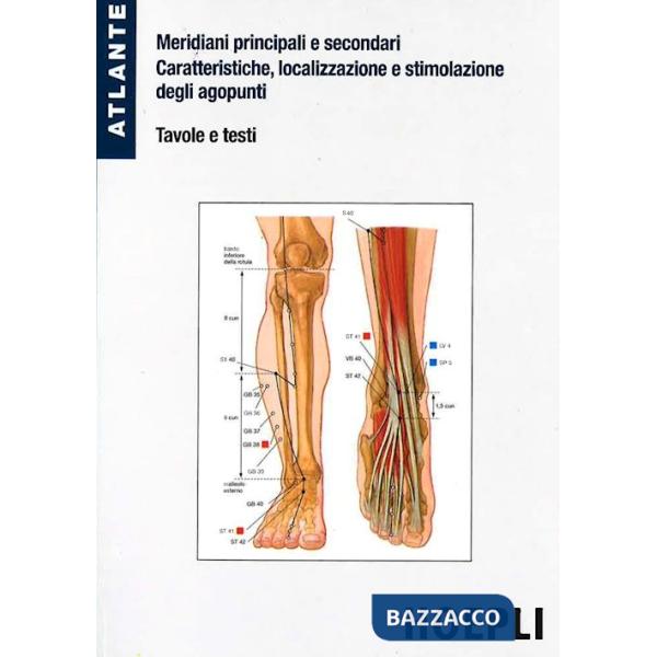 Atlante di agopuntura