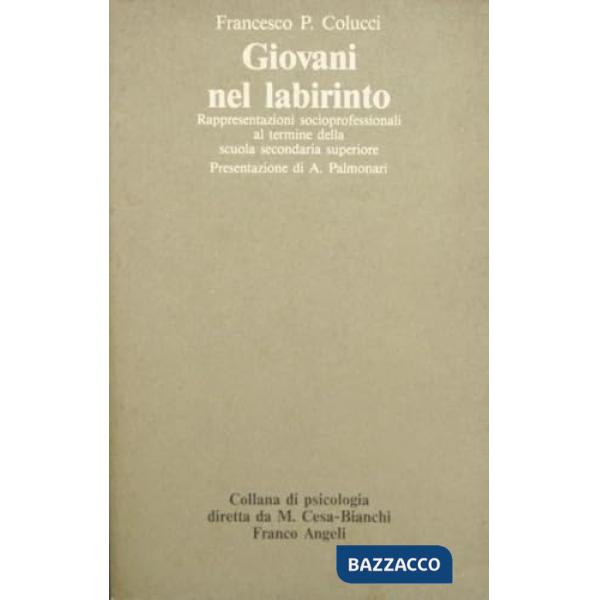 Giovani nel labirinto. Rappresentazioni socioprofessionali al termine della seco