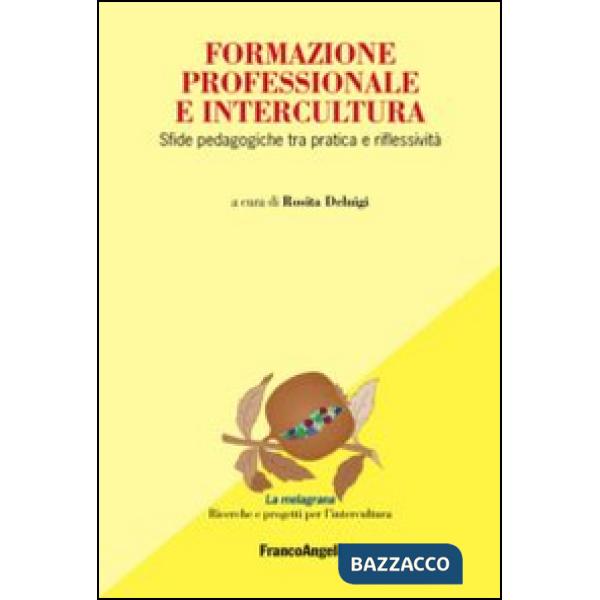 Formazione professionale e intercultura. Sfide pedagogiche tra pratica e riflessività