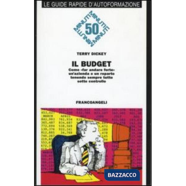 Budget. Come fare andare forte un'azienda o un reparto tenendo sempre tutto sott