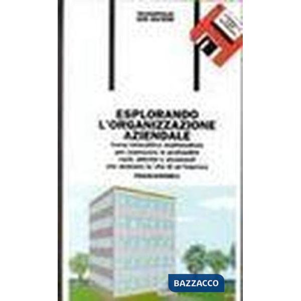 Esplorando l'organizzazione aziendale. Corso interattivo multimediale per conosc