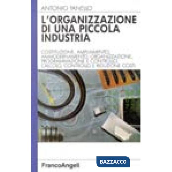 Organizzazione di una piccola industria (L')