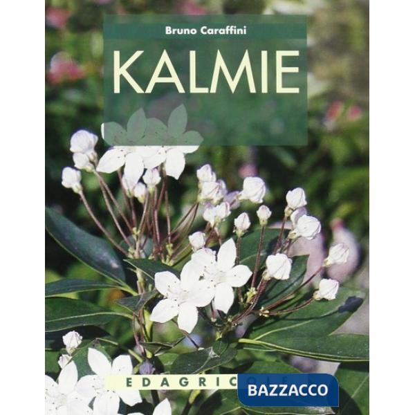 Kalmie