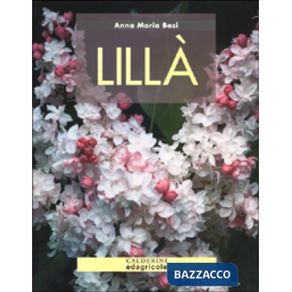Lillà