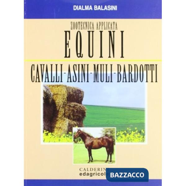 MONOGRAFIA EQUINI