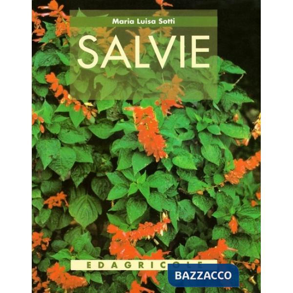 Salvie