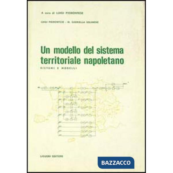 Modello del sistema territoriale napoletano. Sistemi e modelli (Un)