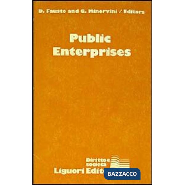 Public enterprises