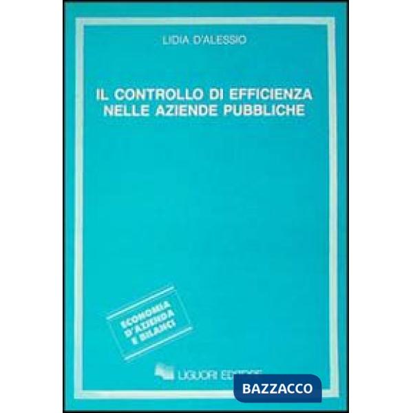 Controllo di efficienza nelle aziende pubbliche (Il)
