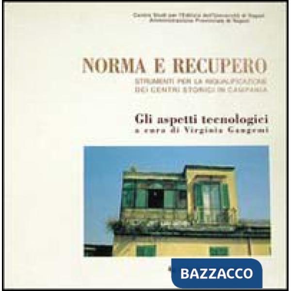 Norma e recupero. Strumenti per la riqualificazione dei centri storici in Campan