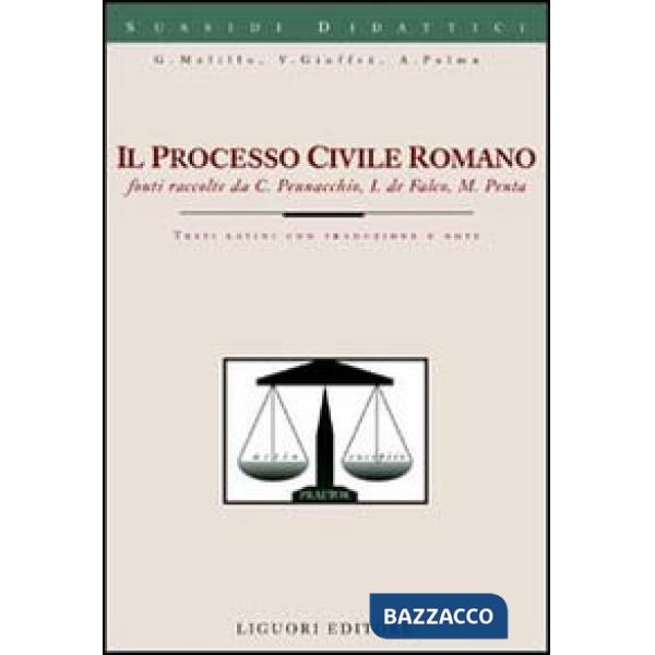 Processo civile romano (Il)