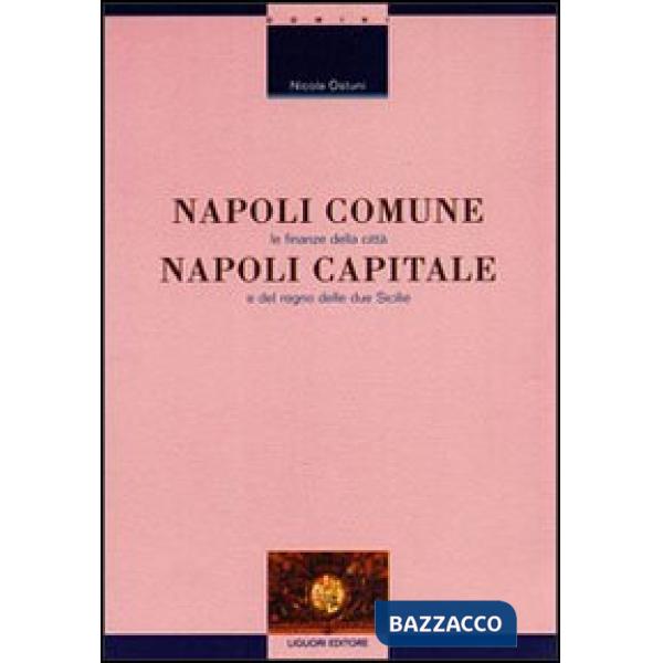 Napoli comune, Napoli capitale. Le finanze della città e del Regno delle Due Sicilie