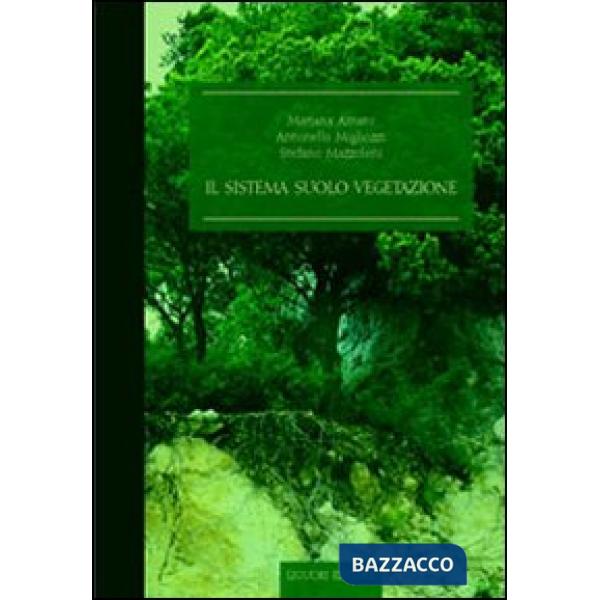 Sistema suolo-vegetazione (Il)