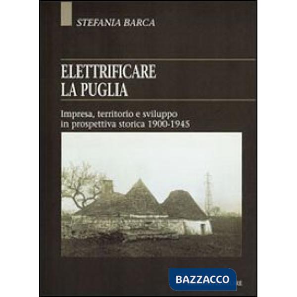 Elettrificare la Puglia. Impresa, territorio e sviluppo in prospettiva storica 1900-1945