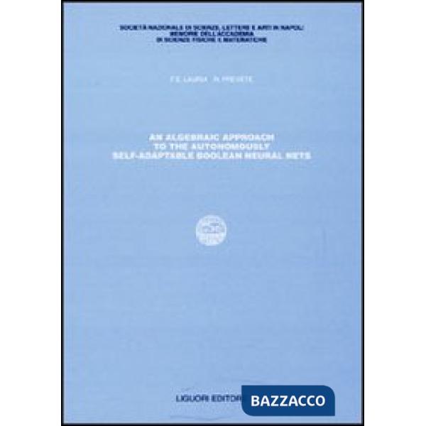 Algebraic approach to the autonomously self-adaptable boolean neural nets (An)