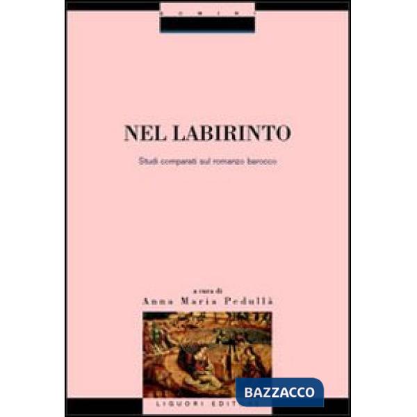 Nel labirinto. Studi comparati sul romanzo barocco