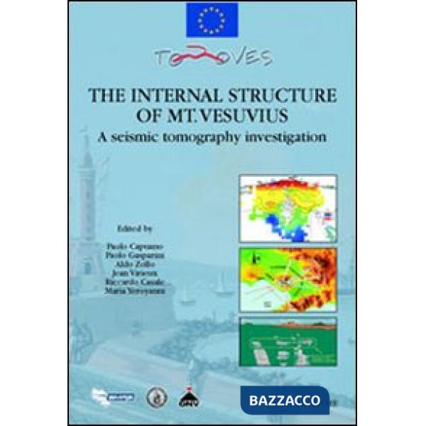 Internal structure of mt. Vesuvius. A seismic tomography investigation (The)