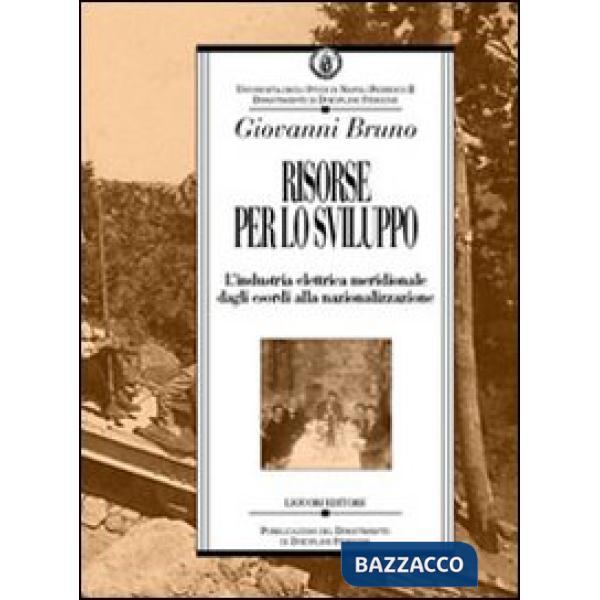 Risorse per lo sviluppo. L'industria elettrica meridionale dagli esordi alla nazionalizzazione