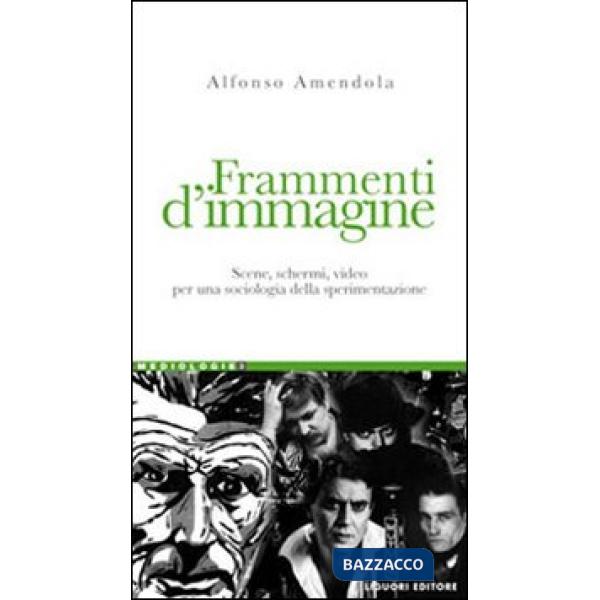 Frammenti d'immagine. Scene, schermi, video per una sociologia della sperimentazione