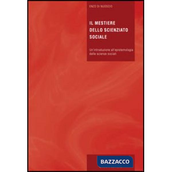 Mestiere dello scienziato sociale. Un'introduzione all'epistemologia delle scienze sociali (Il)