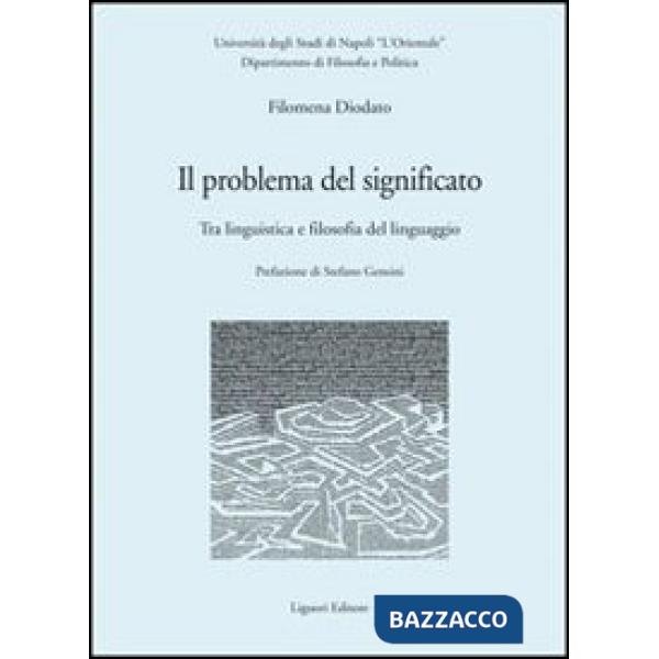 Problema del significato. Tra linguistica e filosofia del linguaggio (Il)