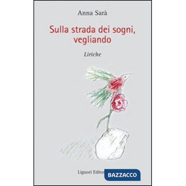 Sulla strada dei sogni, vegliando