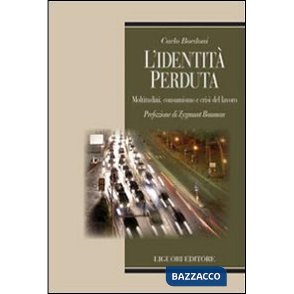 Identità perduta. Moltitudini, consumismo e crisi del lavoro (L')