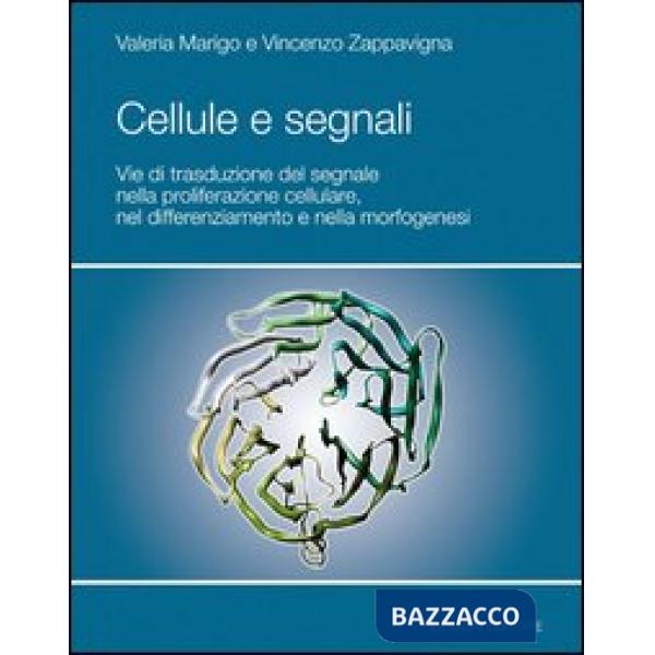 Cellule e segnali. Vie di trasduzione del segnale nella proliferazione cellulare e nella morfogenesi