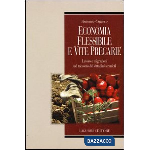 Economia flessibile e vite precarie. Lavoro e migrazioni nel racconto dei cittadini stranieri