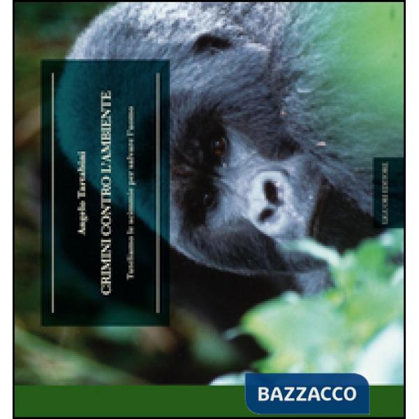 Crimini contro l'ambiente. Tuteliamo le scimmie per salvare l'uomo