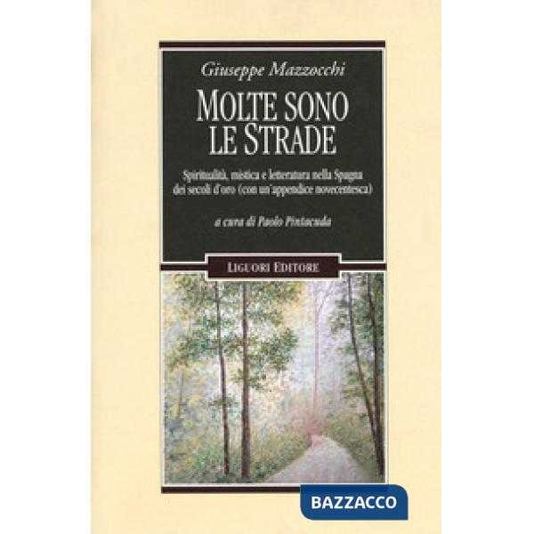 Molte sono le strade. Spiritualità, mistica e letteratura nella Spagna dei secoli d'oro (con un'appendice novecentesca)