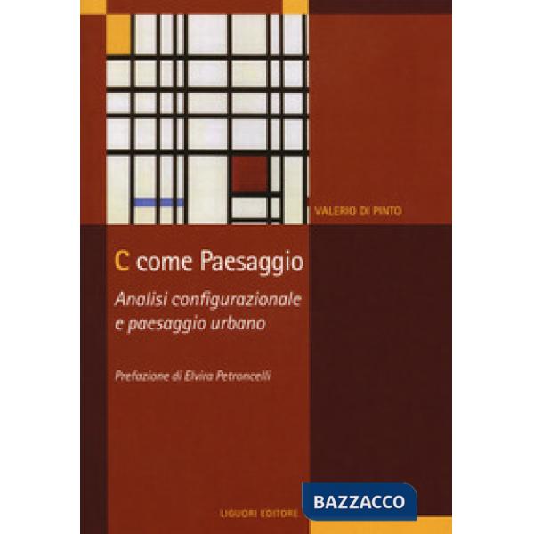 C come paesaggio. Analisi configurazionale e paesaggio urbano