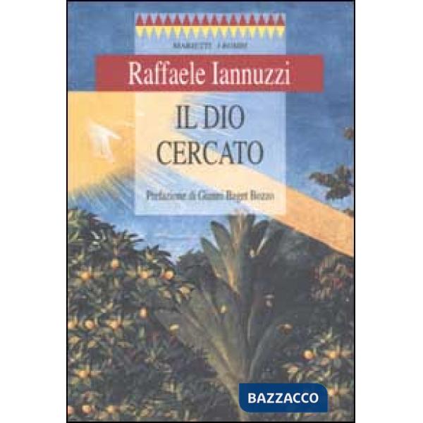 Dio cercato (Il)