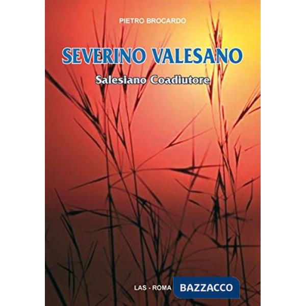 Severino Valesano. Salesiano coadiutore
