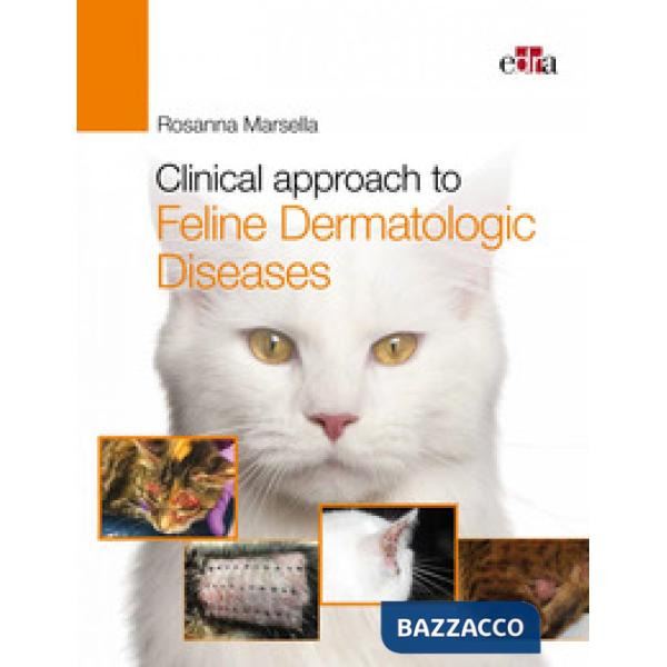 Clinical approach to feline dermatologic diseases