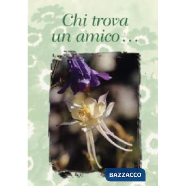 Chi trova un amico...