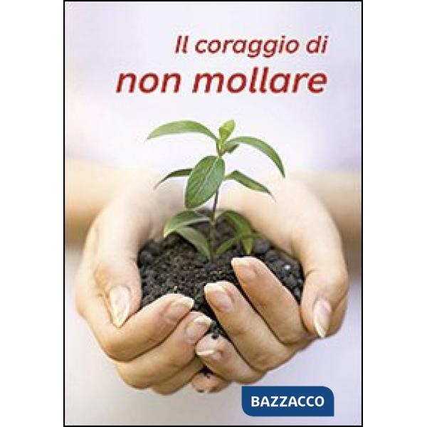 Coraggio di non mollare (Il)