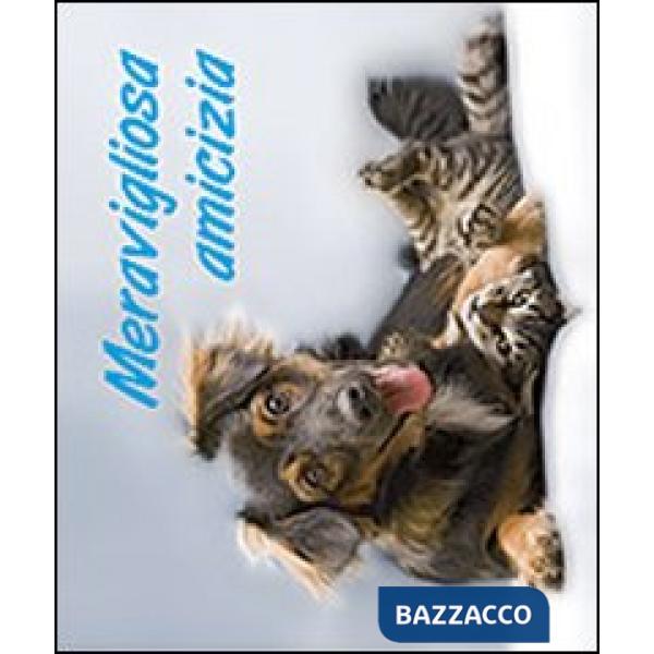 Meravigliosa amicizia