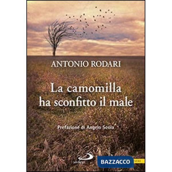 Camomilla ha sconfitto il male (La)