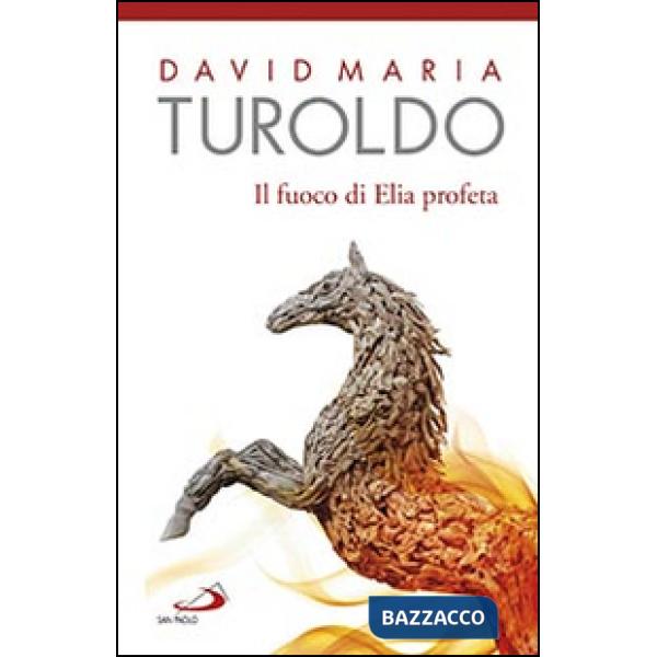 Fuoco di Elia profeta. Omelie 1989-1990. Testamento spirituale (Il)