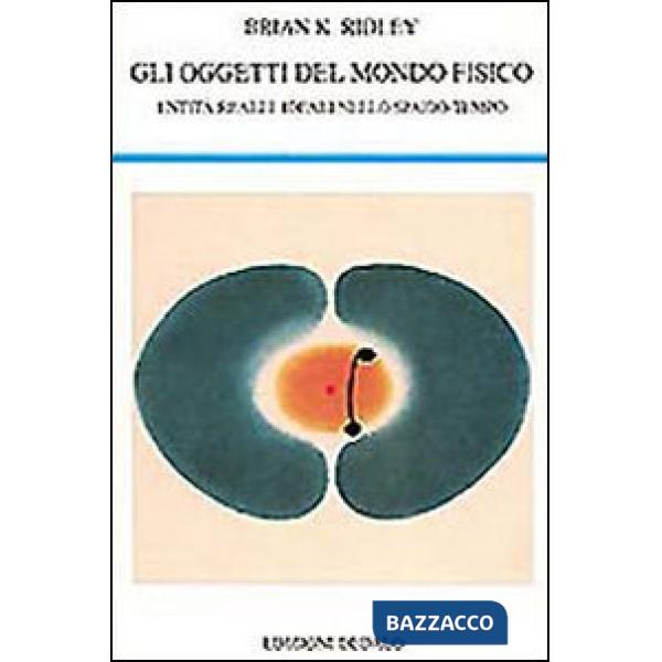 Oggetti del mondo fisico. Entità reali e ideali nello spazio-tempo (Gli)