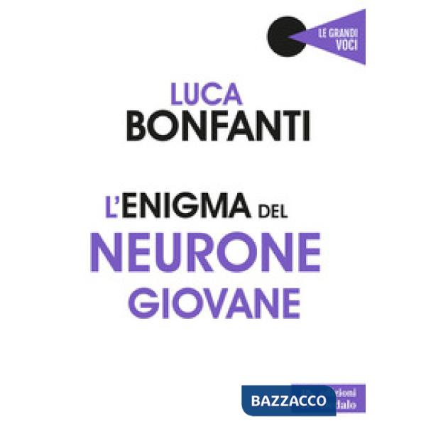 Enigma del neurone giovane (L')