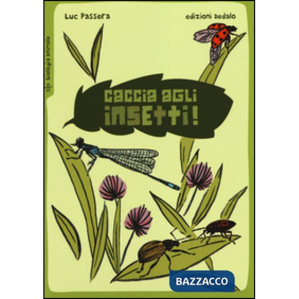 Caccia agli insetti!
