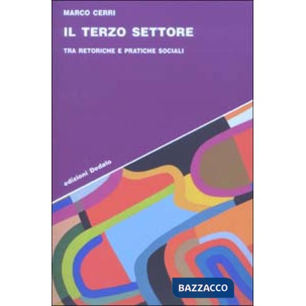 Terzo settore. Tra retoriche e pratiche sociali (Il)