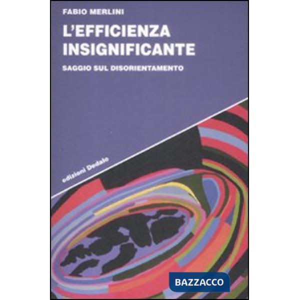 Efficienza insignificante. Saggio sul disorientamento (L')